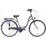 Mestský bicykel 28 Fuzlu Arizona S-3 Strieborná sivá
